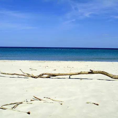 Apartman Appartamento Con Piscina Piricone Verde Orosei