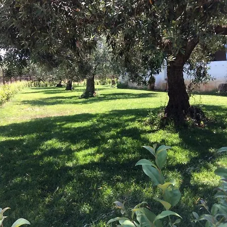 Residenze Gli Ulivi Apartmán *