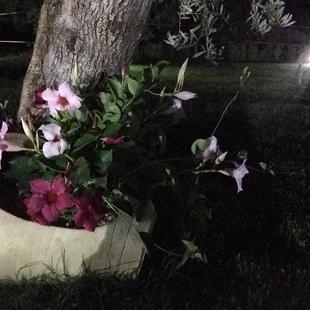 Appartement Appartamento Con Piscina Piricone Verde Orosei