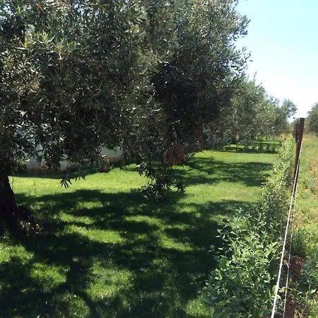 Con Piscina Piricone Orosei