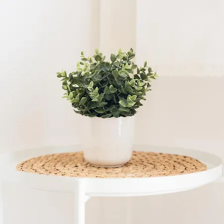 Con Piscina Piricone Appartement