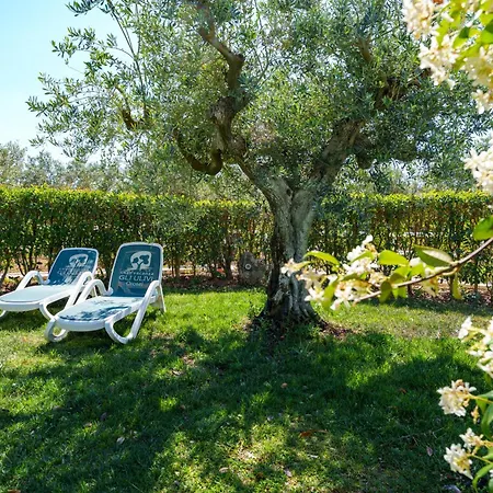 Appartement Con Piscina Piricone *