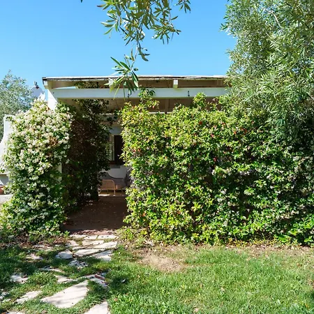 Con Piscina Piricone Appartement Orosei