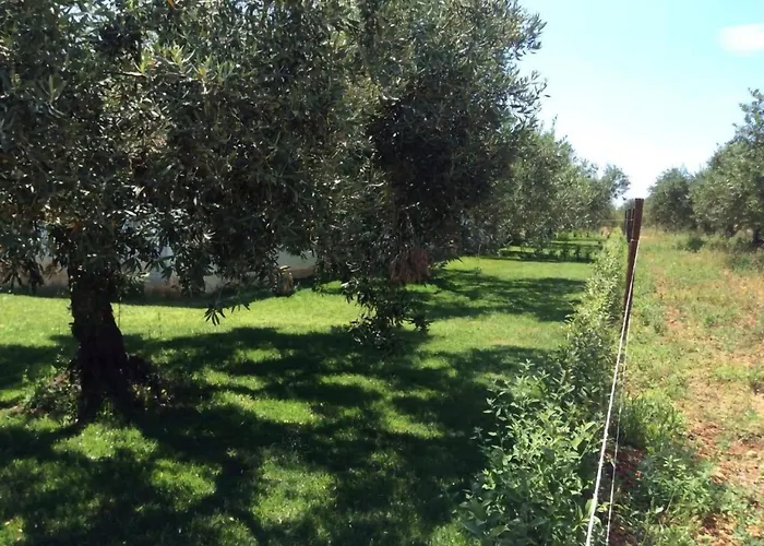Con Piscina Piricone Orosei